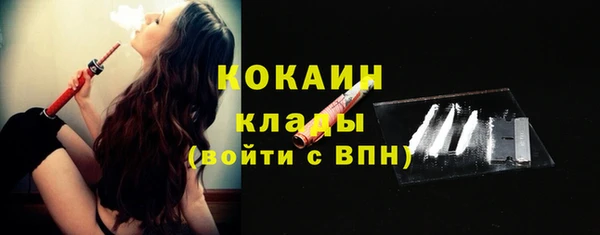ПСИЛОЦИБИНОВЫЕ ГРИБЫ Абаза