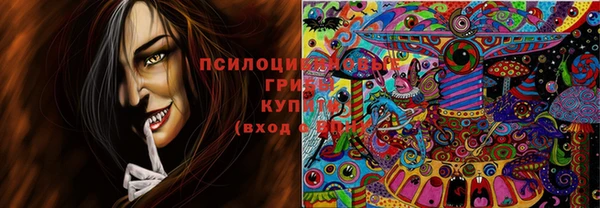 ПСИЛОЦИБИНОВЫЕ ГРИБЫ Абаза
