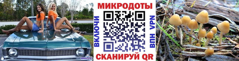 Галлюциногенные грибы прущие грибы  купить наркотик  Кочубеевское 
