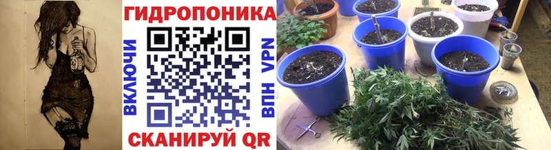 Бошки Шишки марихуана Кочубеевское