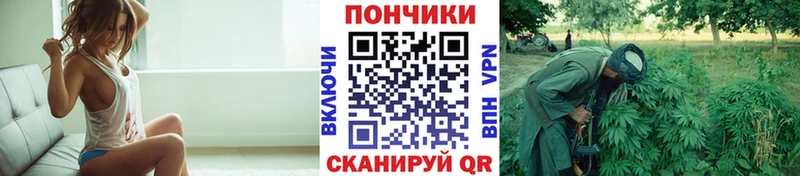 Канабис AK-47 ОМГ ОМГ ТОР Кочубеевское